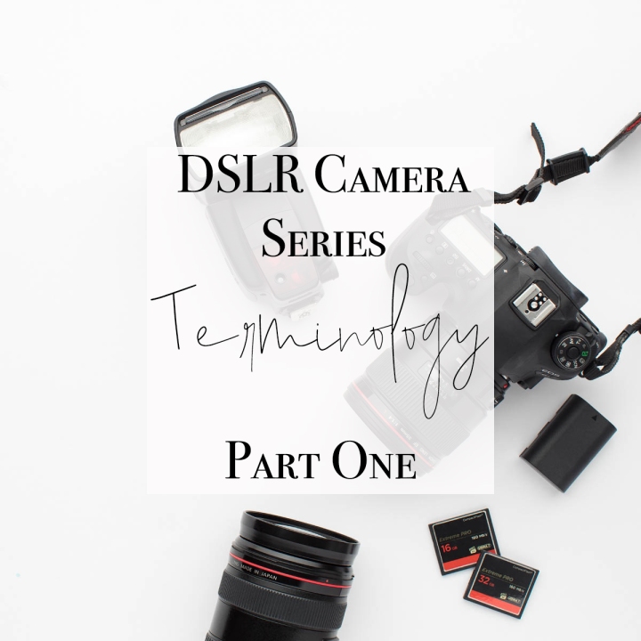 DSLR Camera: Beginner Tutorial